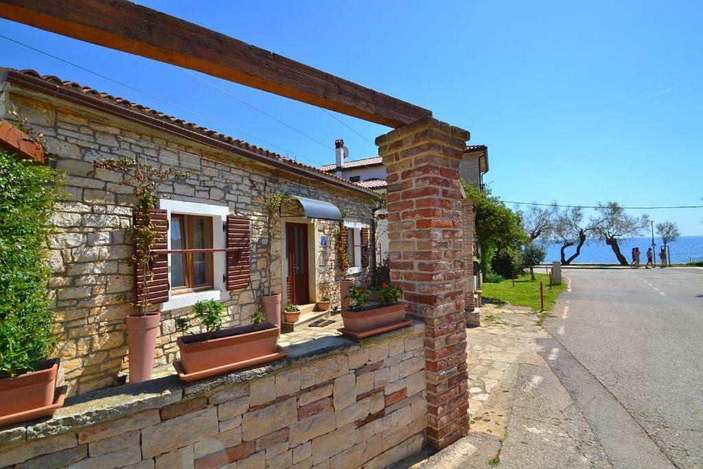 Villa Giardin Novigrad Istria エクステリア 写真
