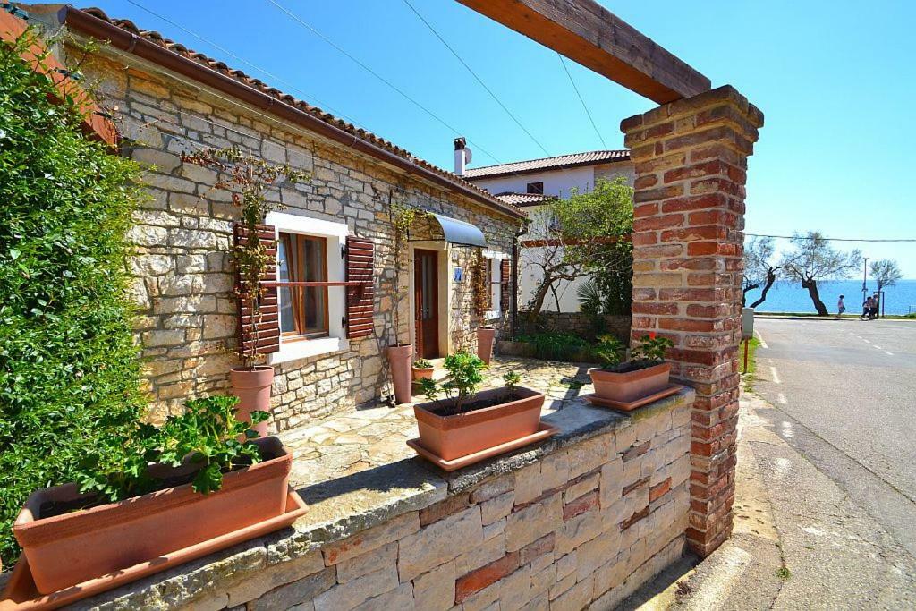Villa Giardin Novigrad Istria エクステリア 写真