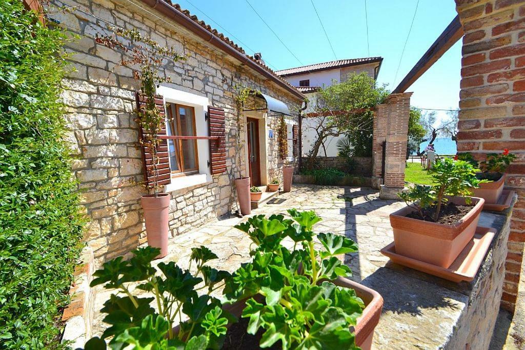 Villa Giardin Novigrad Istria エクステリア 写真