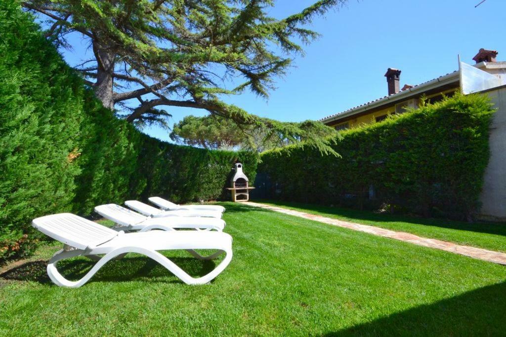 Villa Giardin Novigrad Istria エクステリア 写真